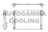 HYUNDAI 253102E570 Radiator, engine cooling